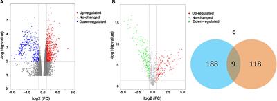 CRLF1 Is a Key Regulator in the Ligamentum Flavum Hypertrophy